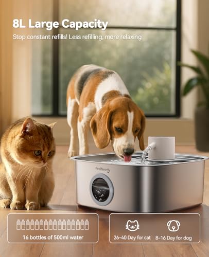 Cordless Wider Tray Dog Water Fountain