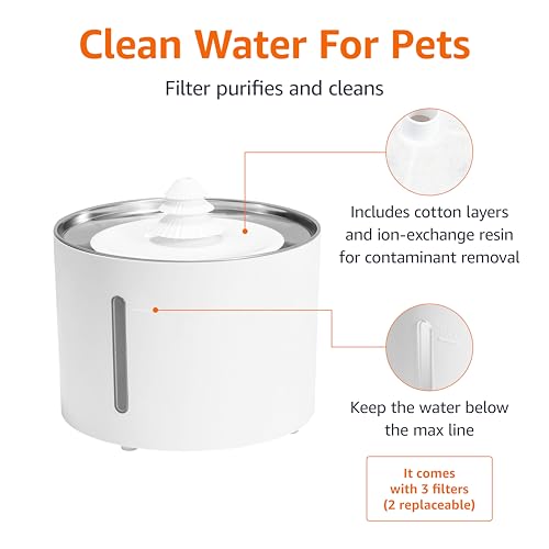 Large Capacity Pet Water Fountain with Stainless Steel Top