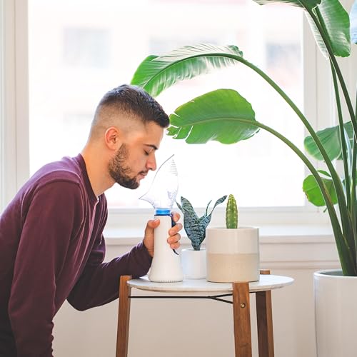 Corded Personal Steam Device for Sinus