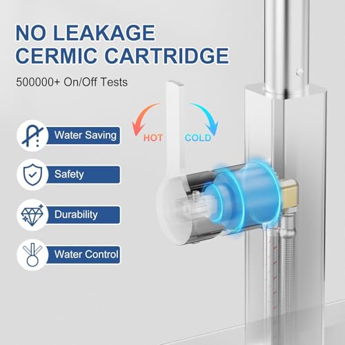 Kitchen Faucet with Pull Down Sprayer