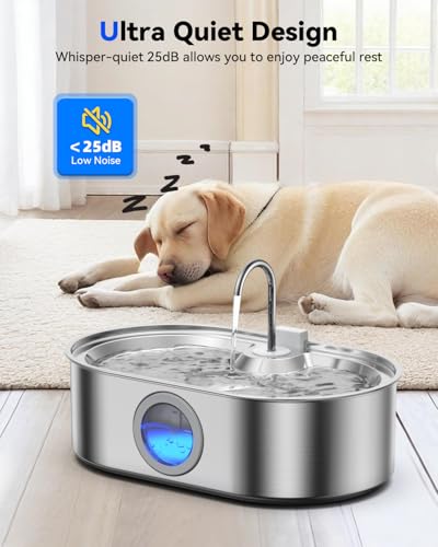 3.4Gal Dog Water Fountain for Large Dogs