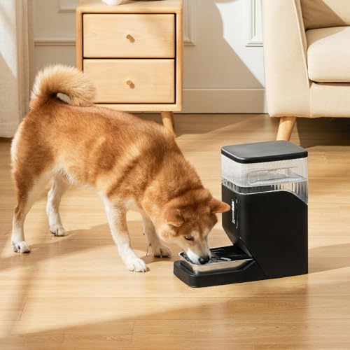 Automatic Dog Water Dispenser 8L with Stainless Steel Bowl