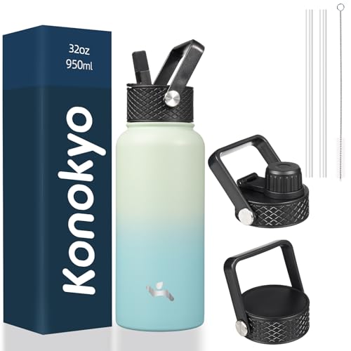 32 oz Insulated Stainless Steel Water Bottle with Straw Lid