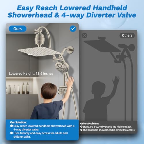 10" Dual Filtered 10" Rainfall Shower Head with Handheld 10