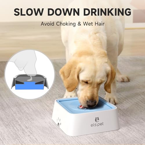 Dog Water Bowl 2L