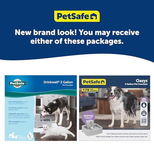 Oasys Pet Fountain