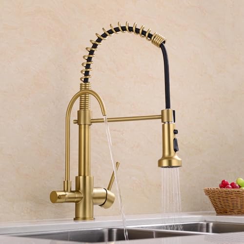 Commercial 3 in 1 Spring Brushed Gold Kitchen Faucet