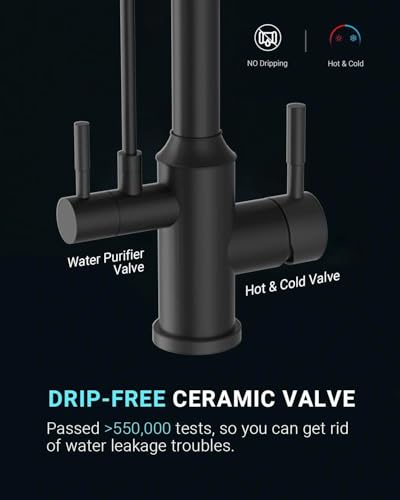 Kitchen Faucet with Water Filter