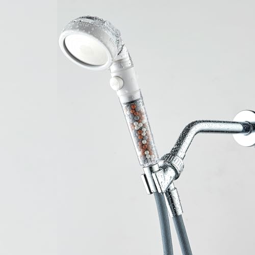 Filtered Shower Head with Handheld