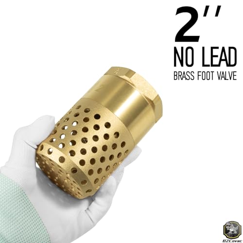 2 Inch Brass Foot Valve with Mesh Strainer