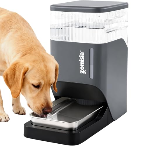 Automatic Dog Water Dispenser 8L with Stainless Steel Bowl