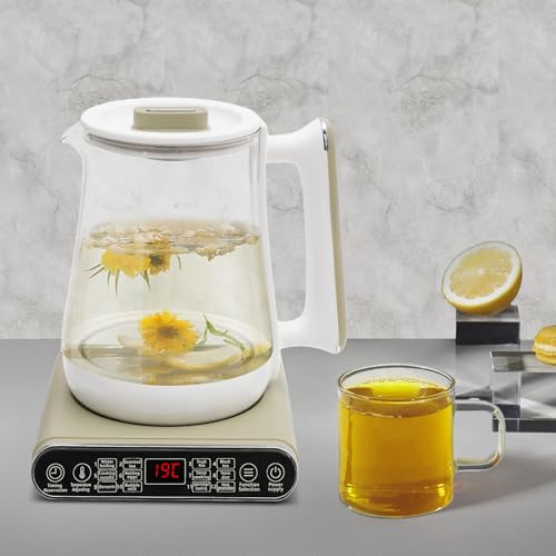 Electric Kettle Tea Maker with Filter & Stew Pot