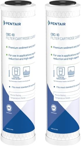 Pentair Pentek CBC (2 Count)