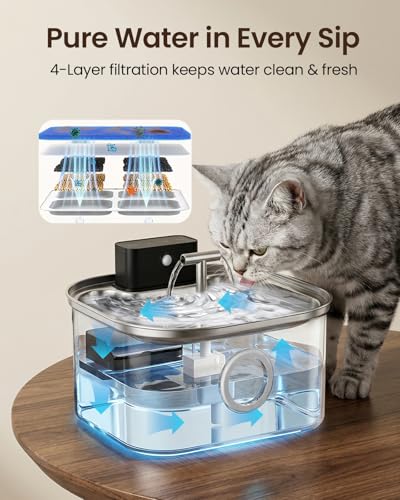 Cordless Cat Water Fountain Stainless Steel