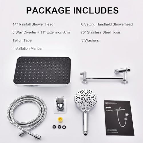 Tandem Shower Head with Filters