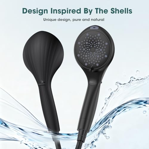 Filtered Shower Head with Handheld