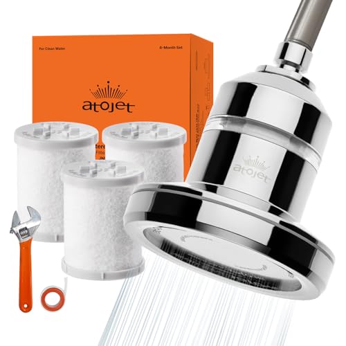 Core Shower Filter Shaped by Korea’s Beauty History