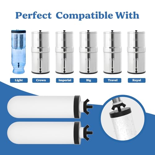 Washable Ceramic Water Filter Candle (4 Count)