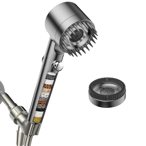 Filtered Shower Head with Handheld