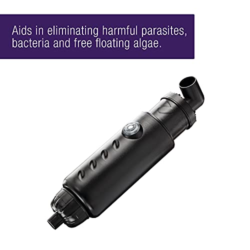 Aquarium Fish Tank Marine Salt Water Turbo