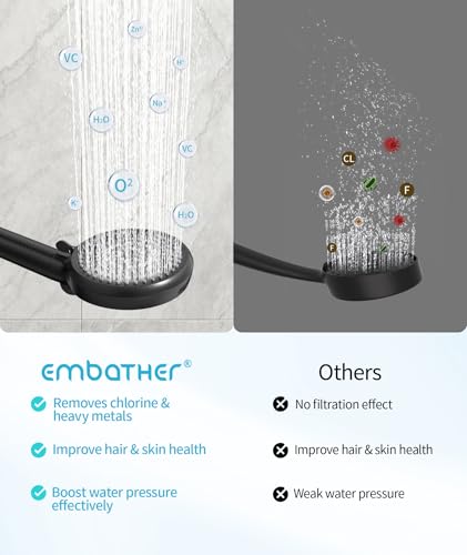 Filtered Shower Head with Handheld