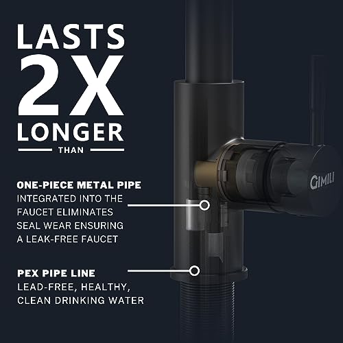 Black Kitchen Faucet with Pull Down Sprayer