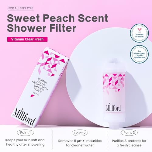 Vitamin C Shower Filter
