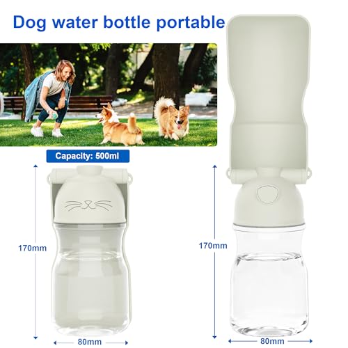 Dog Water Bottle