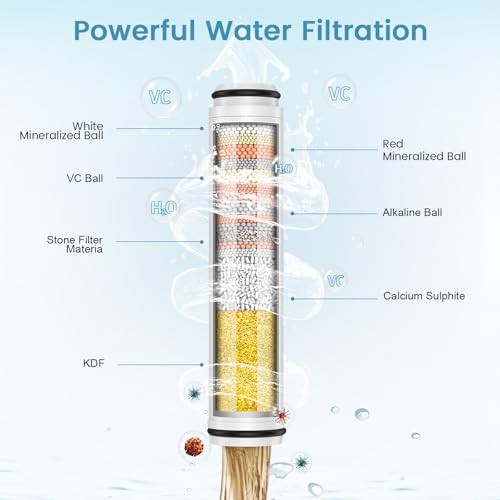 Shower Filter for Handheld Shower Head (2 Count)