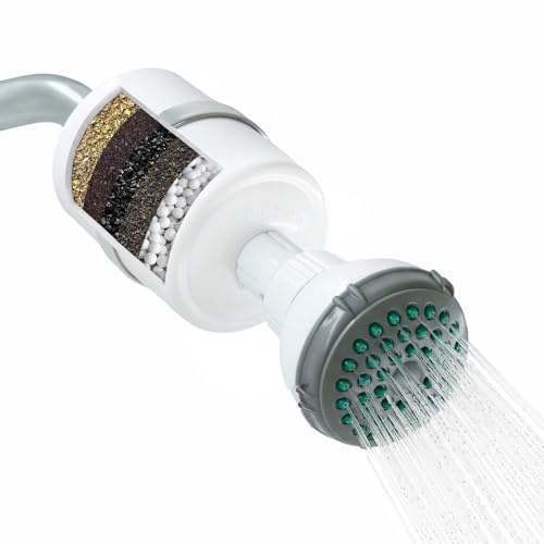 Shower Filter with Head