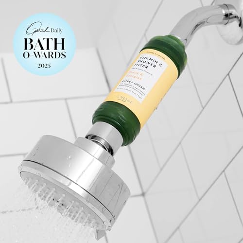 Vitamin C Shower Filter Duo (2 Count)