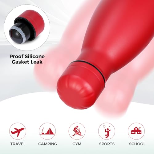 17oz Insulated Stainless Steel Water Bottle