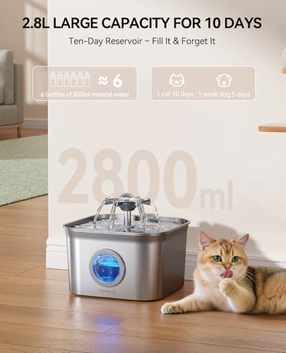 Stainless Steel Cat Water Fountain