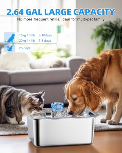 Dog Water Fountain