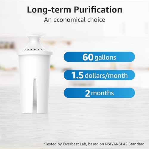 Pitcher Water Filter Replacement for Brita® Filters (2 Count)