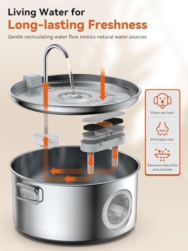 Dog Water Fountain for Large Dogs