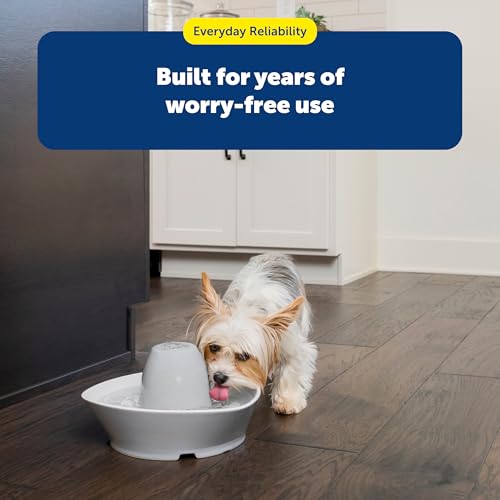 Ceramic Pet Fountain