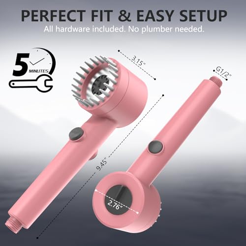 Filtered Shower Head with Handheld