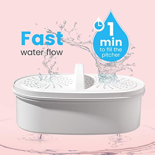 PT 05P Water Filter Pitcher with 4 Filters (2 Count)