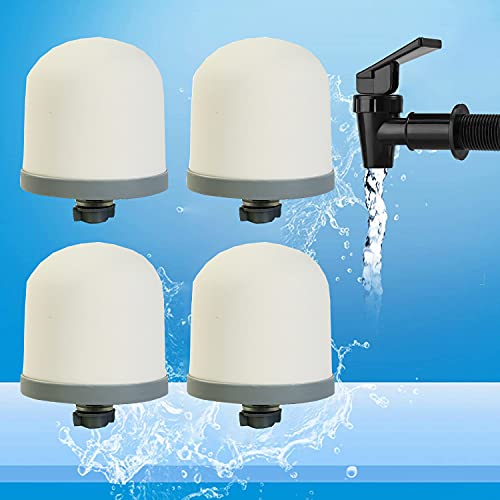 Ceramic Dome Water Filter with Coconut Shell Activated Carbon