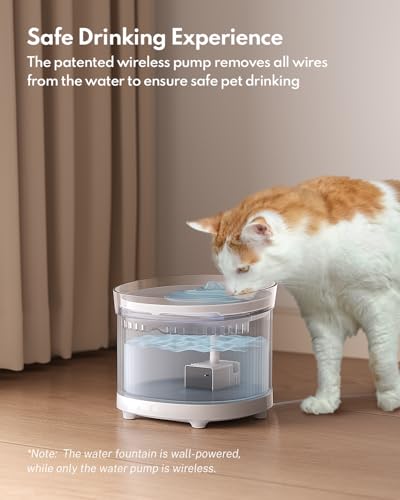 Cat Water Fountain with Wireless Pump
