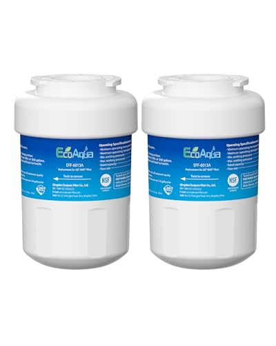 EFF 6013A Water Filter (2 Count)