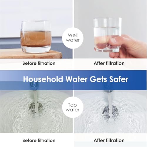 WF10F Whole House Water Filter for WHF21