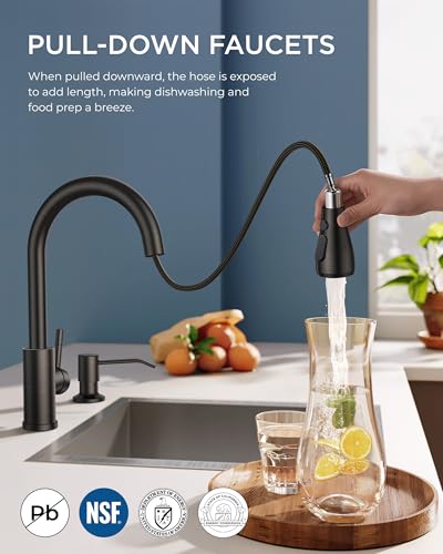 Kitchen Faucet with Soap Dispenser