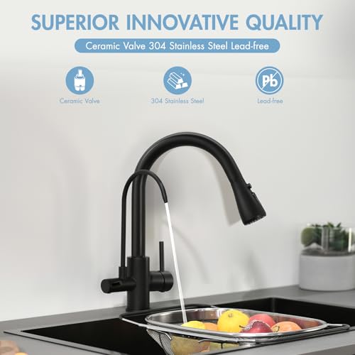 3 in 1 Kitchen Faucet with Water Filter and Pull Down Sprayer