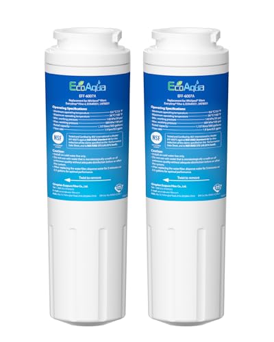 EDR4RXD1 Replacement Filter (2 Count)