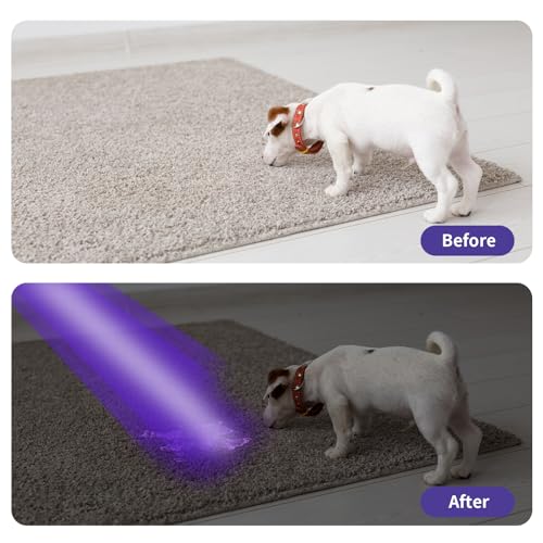 UV Flashlight Black Light