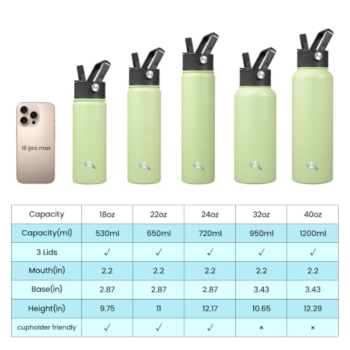 24 oz Insulated Stainless Steel Water Bottle with Straw Lid