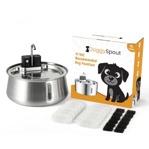 Wireless Dog Water Fountain