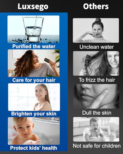 Filtered Shower Head with Handheld